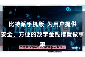 比特派手机版  为用户提供安全、方便的数字金钱措置做事