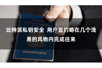 比特派私钥安全  用户皆约略在几个浅易的风物内完成往来