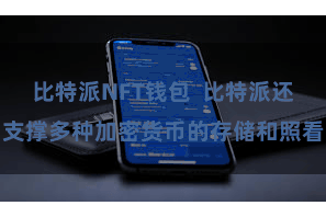 比特派NFT钱包  比特派还支撑多种加密货币的存储和照看