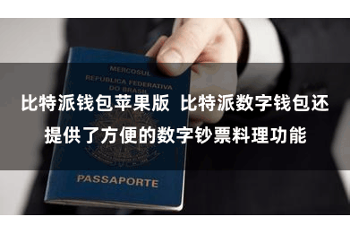 比特派钱包苹果版  比特派数字钱包还提供了方便的数字钞票料理功能