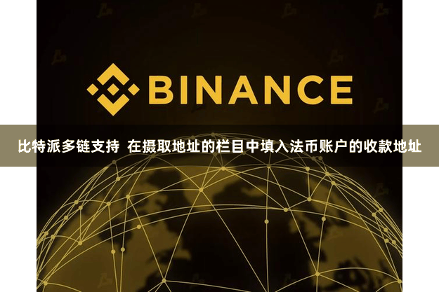 比特派多链支持  在摄取地址的栏目中填入法币账户的收款地址