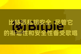 比特派私钥安全  尽管它的褂讪性和安全性备受歌唱