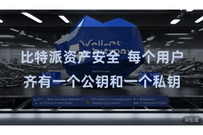 比特派资产安全  每个用户齐有一个公钥和一个私钥